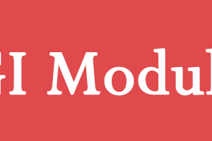 GGI Module 1