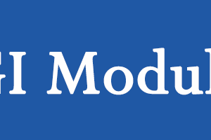 GGI Module 2