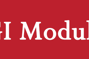 GGI Module 3